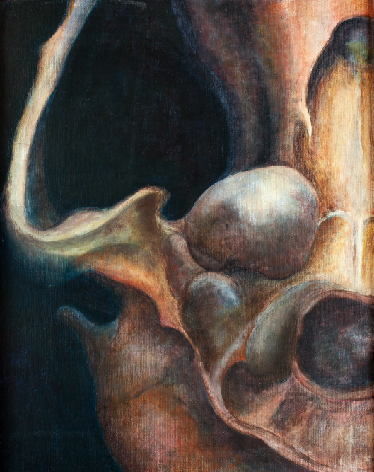 30383130323031322d33523042393436342d4a364d6a4cjpg