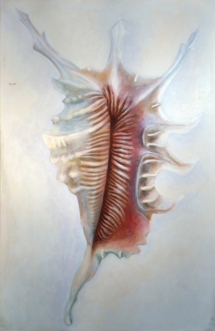 50313034303432312d322d30326d6331jpg