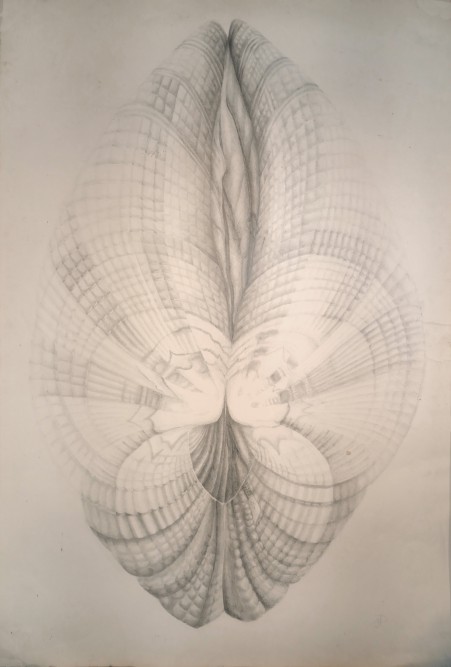 50313034303436392d476952544fjpg